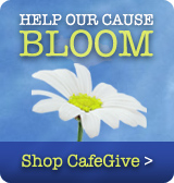 Cafe Give